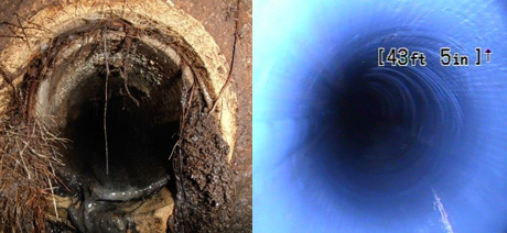 Before Image: Roots in Sewer Line. After Image: Clean Sewer Pipe Lining